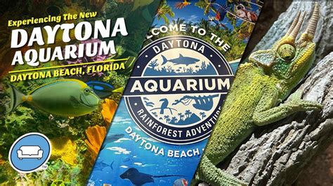 daytona aquarium tickets price|daytona aquarium admission hours.